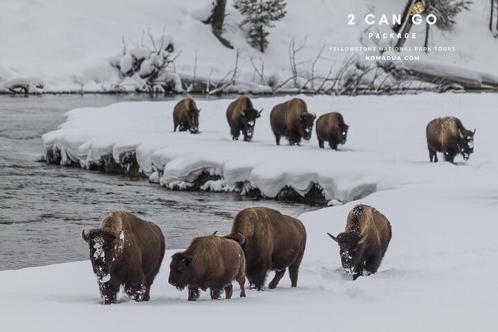 Natural Wonders of the World – Yellowstone Park